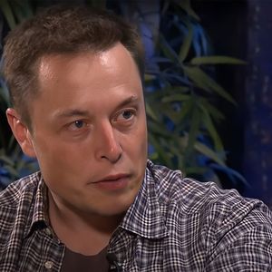 Elon Musk Expresses His Questionable Market Opinion