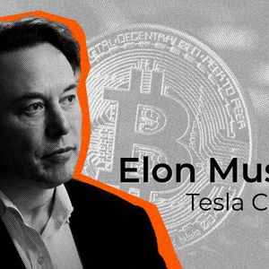 Elon Musk Shares Famous Bitcoin Meme