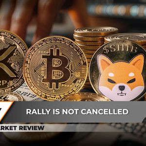 Bitcoin’s 2025 Dominance Cracks, XRP: Top-5 Rally in 2025, Shiba Inu (SHIB): Key Breakthrough in Process?