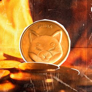 Brand New Way to Burn SHIB Revealed by SHIB Team