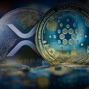 Users Dislike XRP and Cardano, Says Morgan Creek’s Yusko