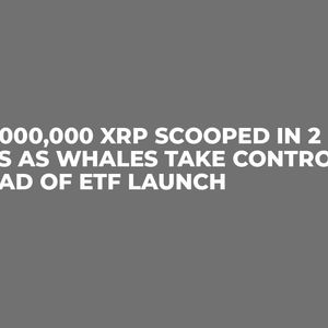 900,000,000 XRP Scooped in 2 Days as Whales Take Control Ahead of ETF Launch