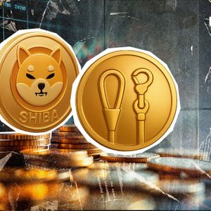 Shiba Inu Top Developer Breaks Silence on LEASH Supply Boom