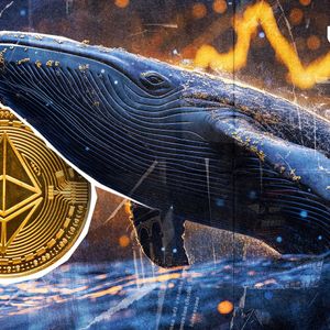Major Ethereum ICO Whale Goes on Selling Spree Amid $18,970,000 Profit