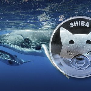 New SHIB Whale Is Born As This Wallet Gets 1.2 Trillion Shiba Inu
