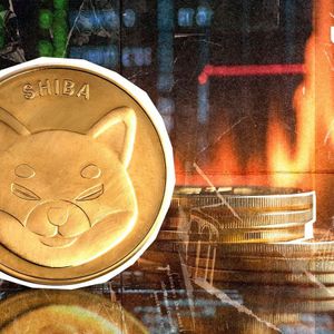+388% Shiba Inu: 102,261,199 Tokens Disappear