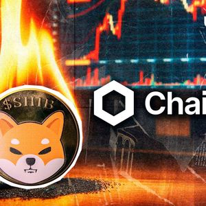 Shiba Inu Developer Reveals How Chainlink Burns SHIB: Details