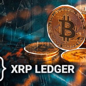 Top XRP Contributor Points to 'Dangerous' Bitcoin Centralization