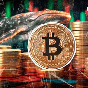 Bitcoin Bull Run Finished? $172 Million Mystery Whale Thinks Opposite