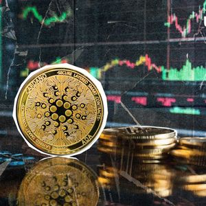 Cardano Stuns With Crazy 7,315% Liquidation Imbalance, Price Recovery Soon?
