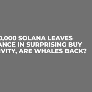 1,000,000 Solana Leaves Binance in Surprising Buy Activity, Are Whales Back?