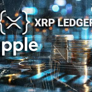XRPL Validator Reacts to Ripple’s Alliance With Crypto Heavyweights: 'Important'