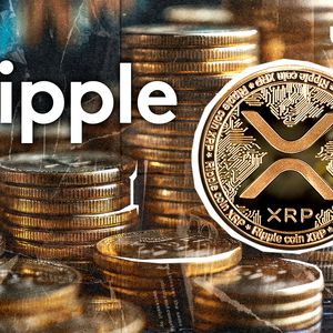 XRP Transfer Worth $100,774,102 Reveals Ripple's Routes