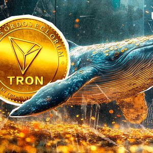 $6,950,000,000 TRX In 24 Hours, Tron Whales Up To Something Big