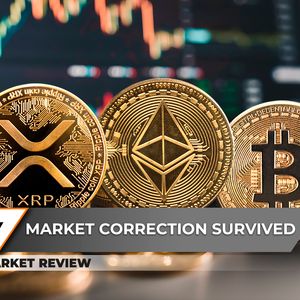 XRP Must Grow: RSI Says So, Bitcoin (BTC): Catastrophic Signal? Ethereum (ETH): $5,000 in September?