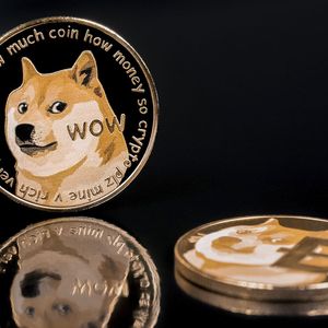 DOGE Now Wanted by BSC Whales Desperately, Here’s Why