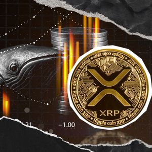 XRP Whales Dumping XRP En Masse