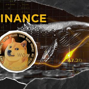 Dogecoin Whale Empties Binance: 52.9 Million DOGE Leaves World’s Largest Crypto Exchange