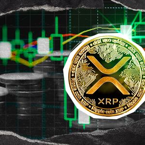Fundamental XRP Growth: This is Why Its Crucial