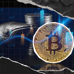 Bitcoin Whale From Satoshi Era Breaks Silence with 640,000% Profit After 13 Years