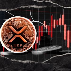 XRP Out of Millionaire Club, Transactions Are Plunging to Zero
