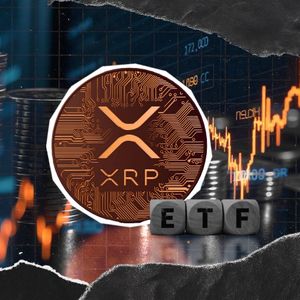 XRP ETF Launch to Test Investor Demand