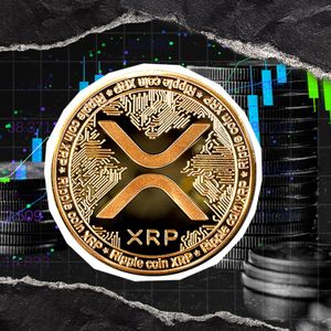 Top 3 Exchanges Holding 1-3 Billion XRP Revealed by Report
