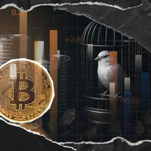 'Bitcoin is Canary in Coal Mine': Here's What it Means in Current Market