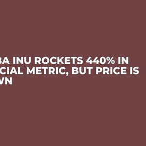 Shiba Inu Rockets 440% in Crucial Metric, But Price is Down