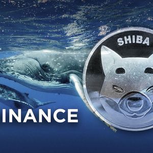Hundreds of Billions of SHIB Moved by Mysterious Whales to Binance as Price Shows Some Gains