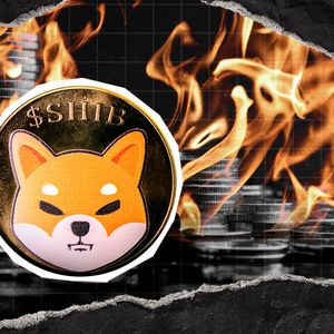 Shiba Inu (SHIB) Burn Rate at 0: Why Did It End?