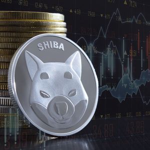 SHIB Large Transactions up a Whopping 479%, What’s Happening?