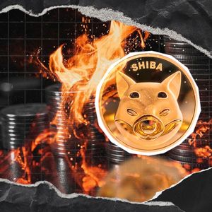 Shiba Inu: 1,156,929 SHIB Destroyed as Burn Rate Skyrockets 396%