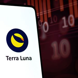 Terra's Team Destroyed UST by Itself: Expert