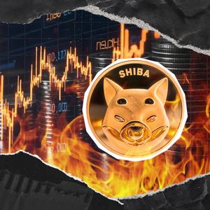 9,008,448 SHIB Burned in Days: Shiba Inu Metric Rockets 10,021%