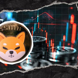 0% Shiba Inu in 24 Hours: Key Metric Halted