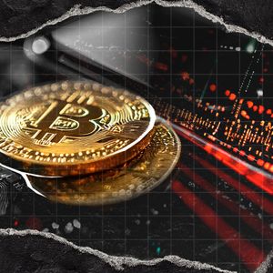 'Bitcoin Fixes This': Crypto Community Reacts to Government Shutdown