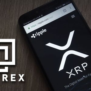 4.1 Billion XRP Moved From Bittrex Within Hour, Here’s What May Be Happening
