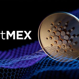 Cardano (ADA) and Other Cryptocurrencies Now Available on BitMEX Exchange