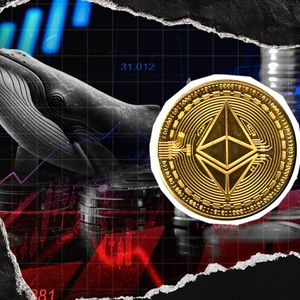 Ethereum Back Under Whales' Radar After 12% Price Crash