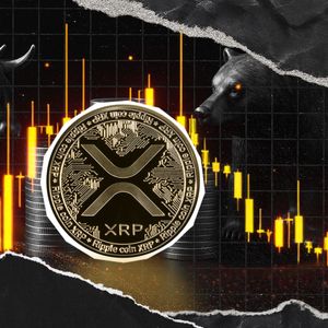 Max Pain Price for XRP Revealed: 30% for Bears, and Just 10% for Bulls