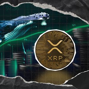 XRP Gets Unusual Investment from Hyperliquid Whale