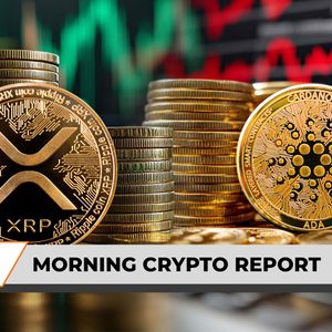 Morning Crypto Report: Why XRP Price Is Up Today? Ripple CEO and President Defy Retail Fear, Cardano at Risk of 20% Death Cross Crash