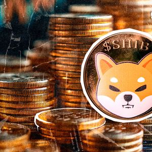 -62% and 978,000,000 SHIB in 24 Hours: This is an Extremely Good Sign