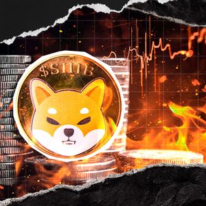 Shiba Inu Stuns With Crazy 28,554% Burn Rate Surge