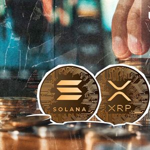 Solana Shades XRP: 'There Is No Bridge Currency'