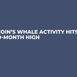 Bitcoin’s Whale Activity Hits Two-Month High