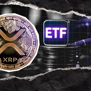XRP ETF Flows Will Exceed What People Are Expecting, Analyst Predicts