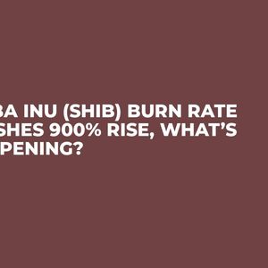 Shiba Inu (SHIB) Burn Rate Flashes 900% Rise, What’s Happening?