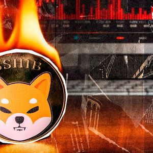 32,297,688 SHIB Burned in Seven Days, Yet It Isn’t Enough
